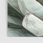 Cactus Leaves // Green Southwest Home Decor Vibes Desert Hombre Plant Photograph Poster Gallery Image 3