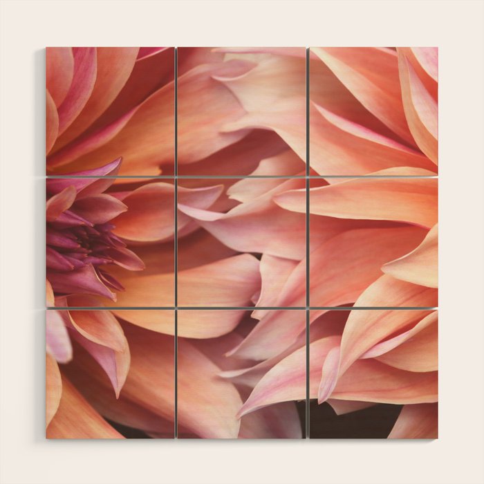 Connection #1 Art Print Wood Wall Art Gallery Image 1