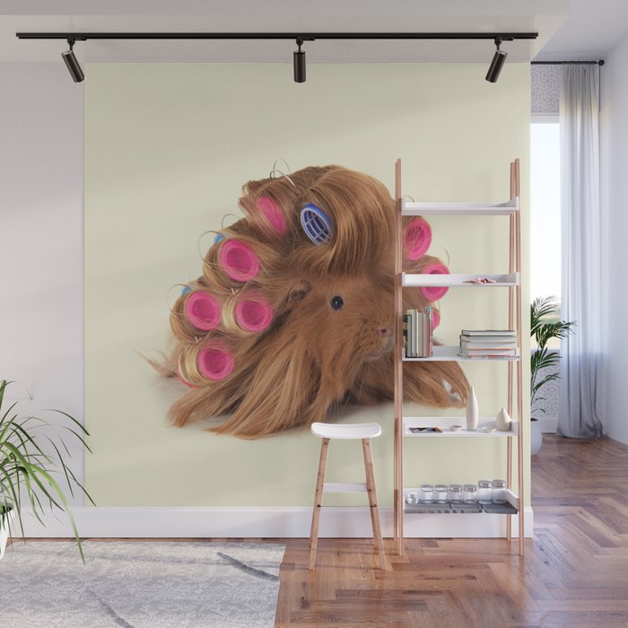 CURLY GUINEA PIG Wall Mural Gallery Image 1