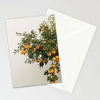 Pomegranates Stationery Card Gallery Image 2