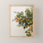 Pomegranates Mini Art Print Gallery Image 1