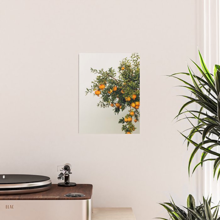 Pomegranates Poster Gallery Image 2