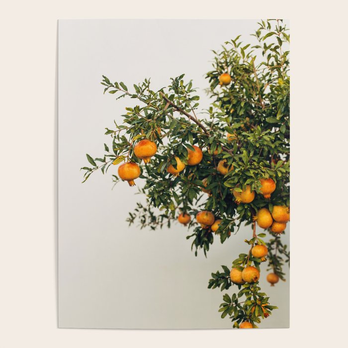 Pomegranates Poster Gallery Image 4