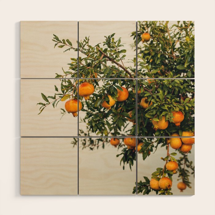 Pomegranates Wood Wall Art Gallery Image 1