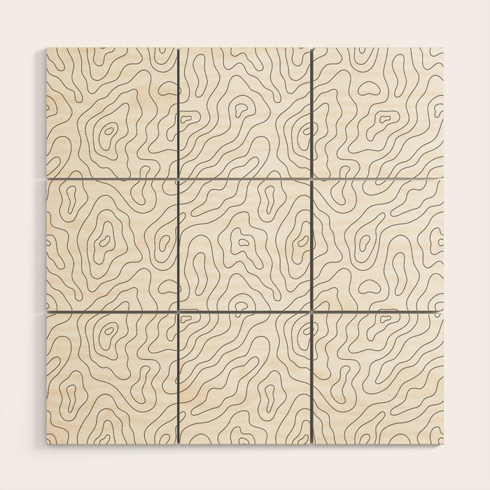 Abstract topography map line art pattern Wood Wall Art Gallery Image 1