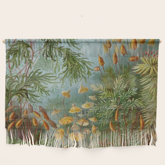 Art Forms of Nature - Ernst Haeckel - 1899-1904  Wall Hanging Gallery Image 1