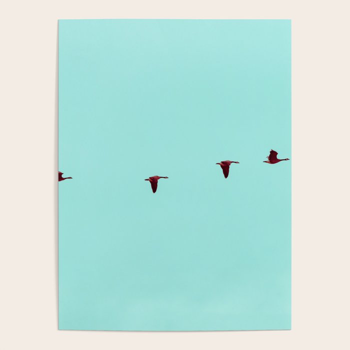 Take Flight - Wild Goose Chase Poster Gallery Image 4