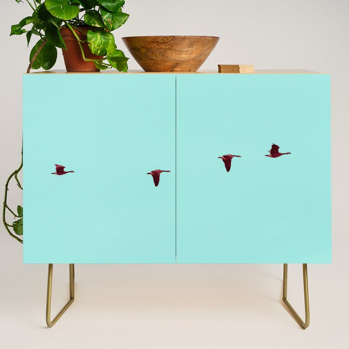 Take Flight - Wild Goose Chase Credenza Gallery Image 1
