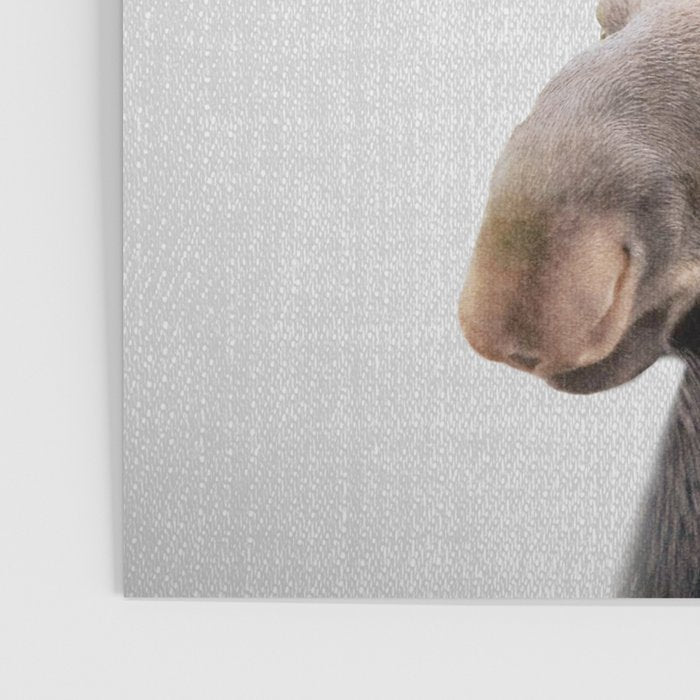 Moose - Colorful Poster Gallery Image 3