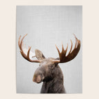 Moose - Colorful Poster Gallery Image 4