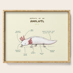 Anatomy of an Axolotl Serving Tray Gallery Image 1