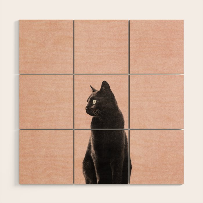 MINIMAL ANIMAL / Black Cat - peach Wood Wall Art Gallery Image 1