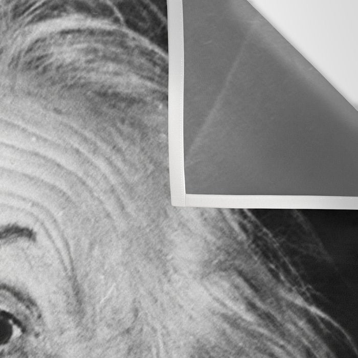 Satirical Bubble Gum Albert Einstein humour photography photograph blowing bubble gum bubble poster Wall Tapestry Gallery Image 3