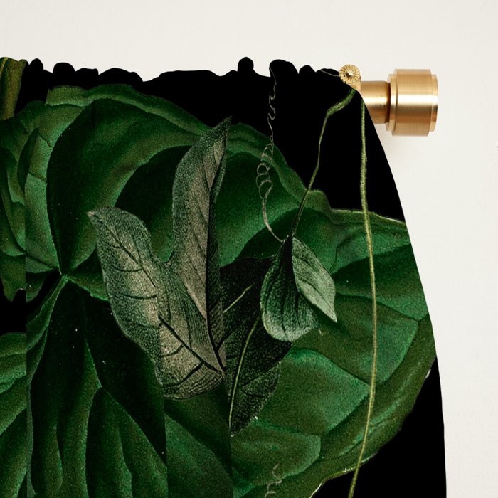 Midnight Vintage Exotic Flower And Birds Garden Jungle Window Curtain Gallery Image 2