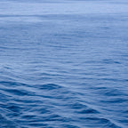 She Fell in Love on the Vast Wild Sea Coffee Mug Gallery Image 2