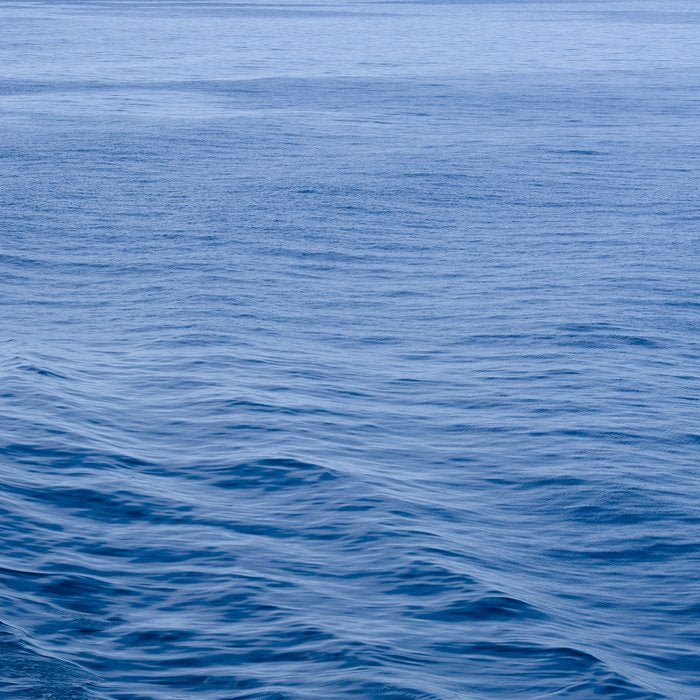 She Fell in Love on the Vast Wild Sea Coffee Mug Gallery Image 2