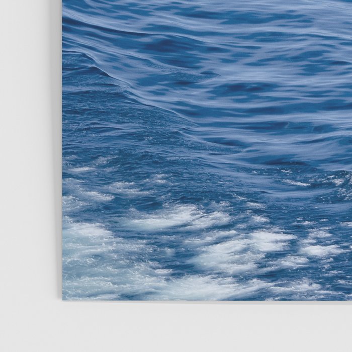 She Fell in Love on the Vast Wild Sea Poster Gallery Image 3
