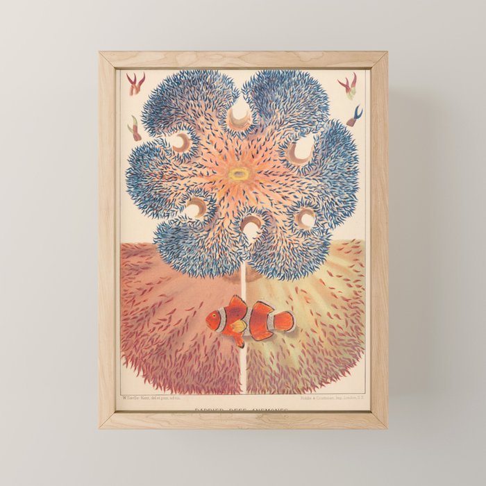 Anemones from âThe Great Barrier Reef of Australiaâ by William Saville Kent, 1893 Mini Art Print Gallery Image 1