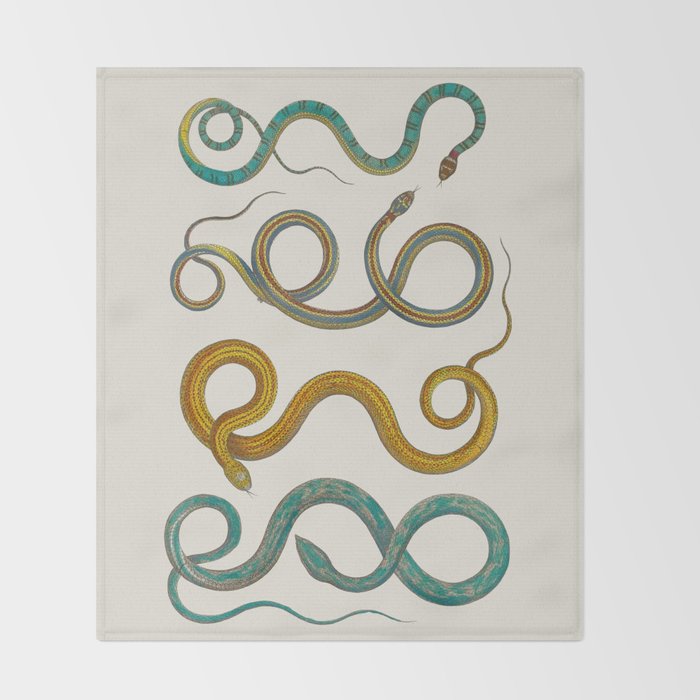 Albertus Seba Snakes Illustration Teal And Yellow Scales Throw Blanket Gallery Image 2