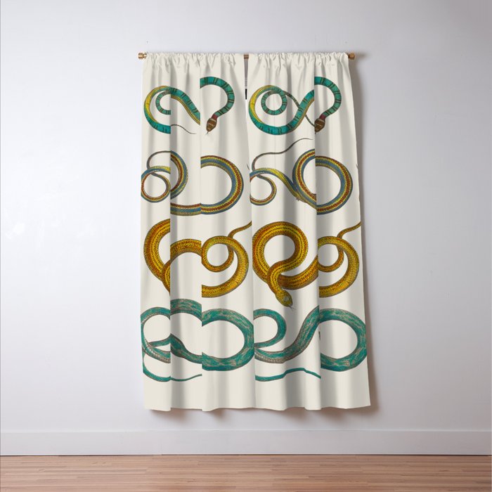 Albertus Seba Snakes Illustration Teal And Yellow Scales Window Curtain Gallery Image 3