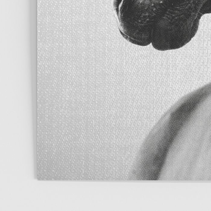 Horses - Black & White 2 Poster Gallery Image 3