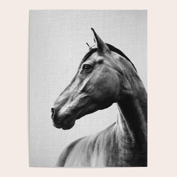 Horses - Black & White 2 Poster Gallery Image 1