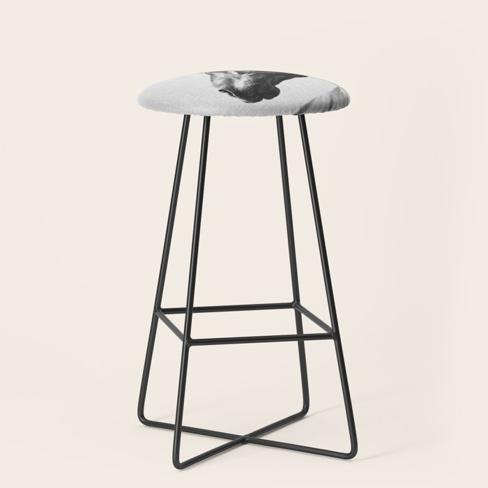 Horses - Black & White 2 Stool Gallery Image 1