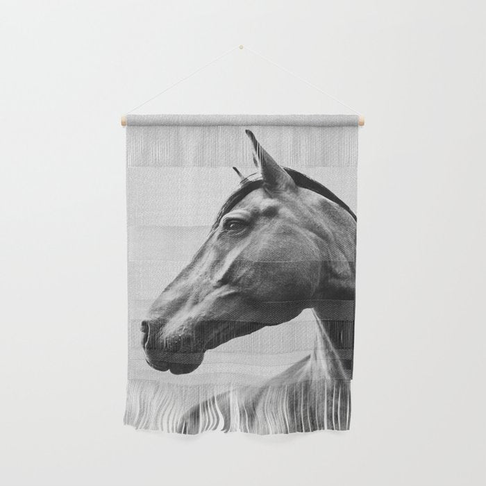 Horses - Black & White 2 Wall Hanging Gallery Image 1