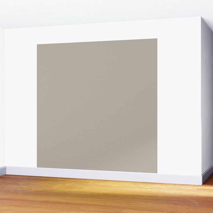 Neutral Taupe Grey III Solid Color Wall Mural Gallery Image 2