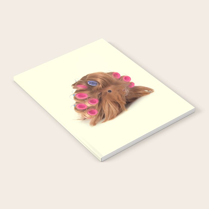CURLY GUINEA PIG Notebook Gallery Image 2