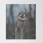 The Northern Howk Owl - Landscape and Nature Photography Throw Blanket Gallery Image 2