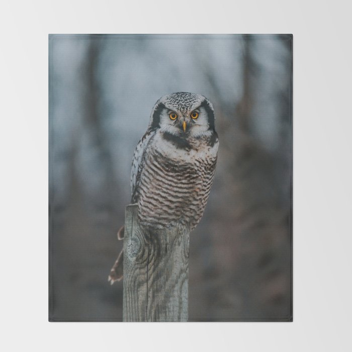 The Northern Howk Owl - Landscape and Nature Photography Throw Blanket Gallery Image 2