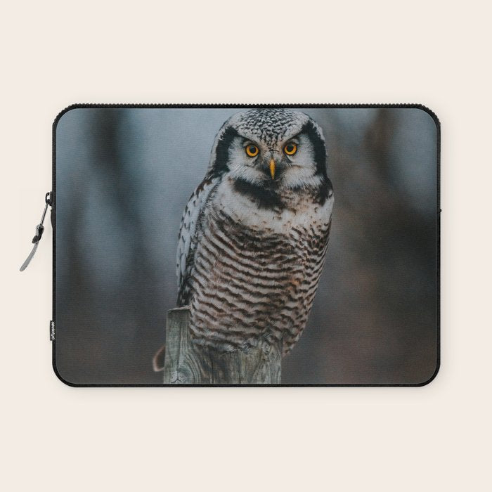 The Northern Howk Owl - Landscape and Nature Photography Laptop Sleeve Gallery Image 1