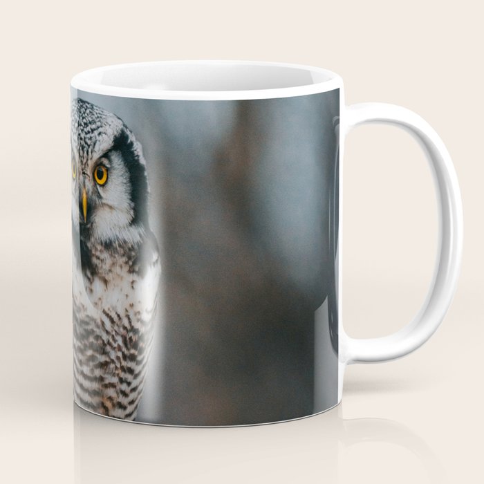 The Northern Howk Owl - Landscape and Nature Photography Coffee Mug Gallery Image 1