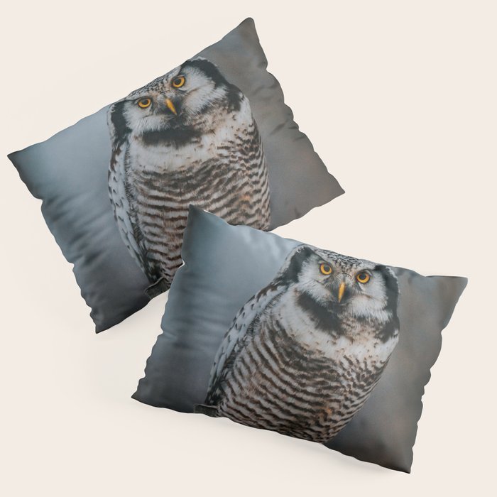 The Northern Howk Owl - Landscape and Nature Photography Pillow Sham Gallery Image 1