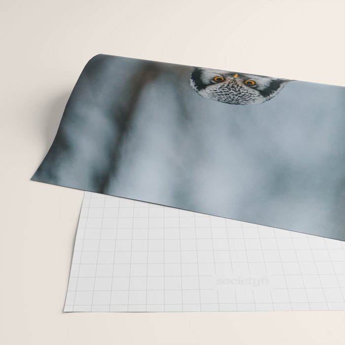 The Northern Howk Owl - Landscape and Nature Photography Wrapping Paper Gallery Image 2