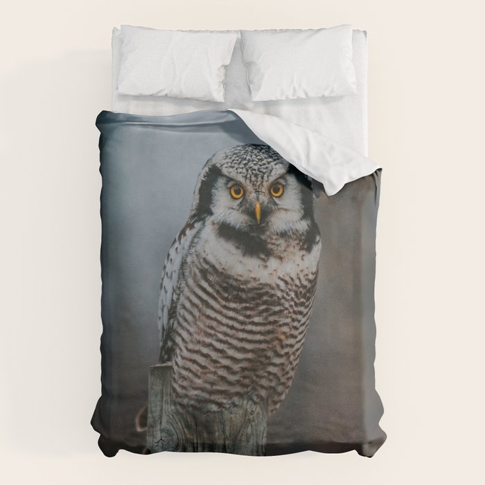 The Northern Howk Owl - Landscape and Nature Photography Duvet Cover Gallery Image 1