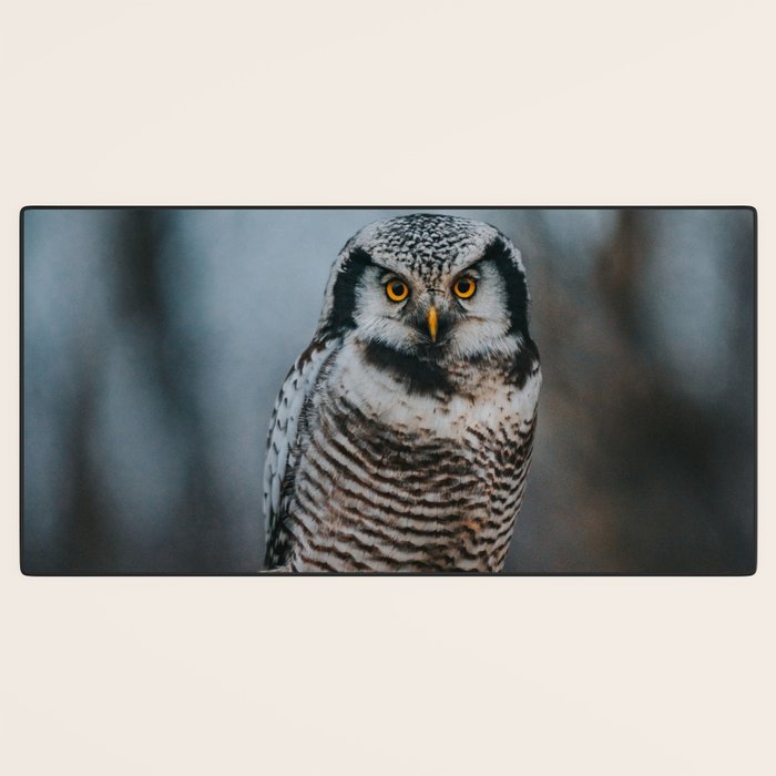 The Northern Howk Owl - Landscape and Nature Photography Desk Mat Gallery Image 3