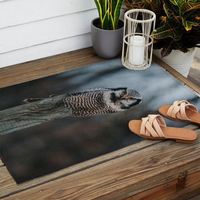 The Northern Howk Owl - Landscape and Nature Photography Outdoor Rug Gallery Image 2