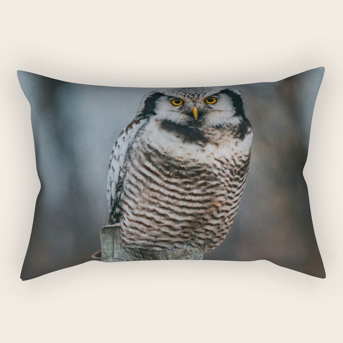 The Northern Howk Owl - Landscape and Nature Photography Rectangular Pillow Gallery Image 1