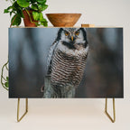 The Northern Howk Owl - Landscape and Nature Photography Credenza Gallery Image 1