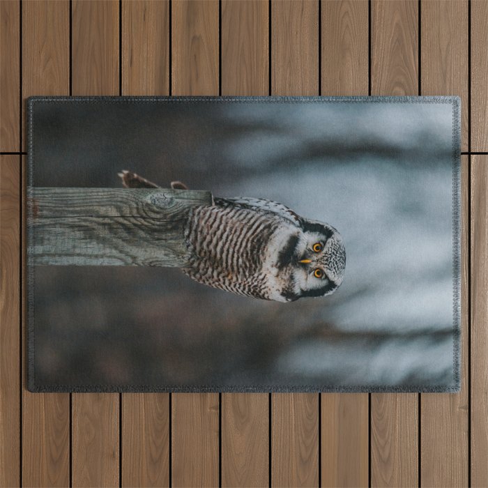 The Northern Howk Owl - Landscape and Nature Photography Outdoor Rug Gallery Image 1