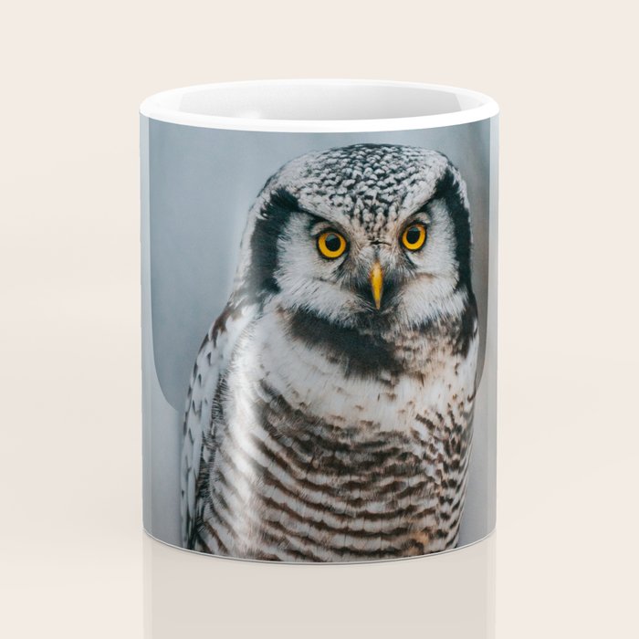 The Northern Howk Owl - Landscape and Nature Photography Coffee Mug Gallery Image 4
