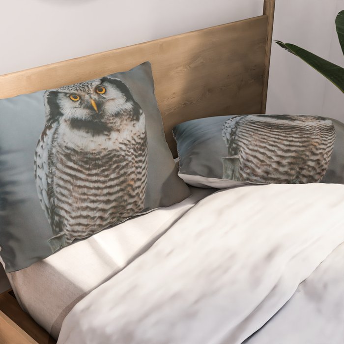 The Northern Howk Owl - Landscape and Nature Photography Pillow Sham Gallery Image 2