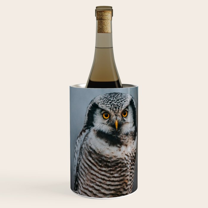 The Northern Howk Owl - Landscape and Nature Photography Wine Chiller Gallery Image 1