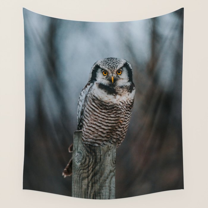The Northern Howk Owl - Landscape and Nature Photography Wall Tapestry Gallery Image 1