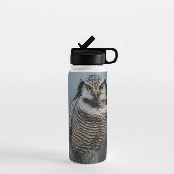 The Northern Howk Owl - Landscape and Nature Photography Water Bottle Gallery Image 1
