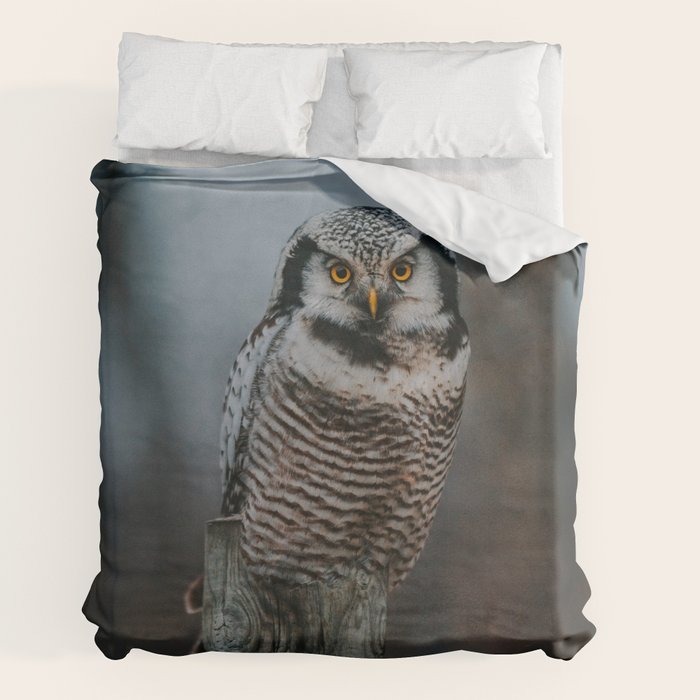 The Northern Howk Owl - Landscape and Nature Photography Duvet Cover Gallery Image 2