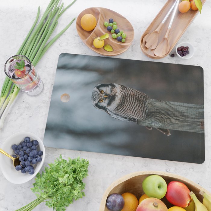 The Northern Howk Owl - Landscape and Nature Photography Cutting Board Gallery Image 2