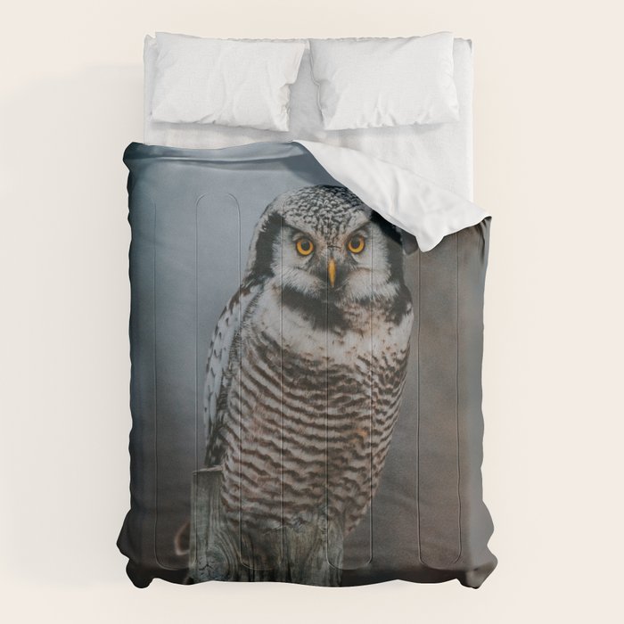 The Northern Howk Owl - Landscape and Nature Photography Comforter Gallery Image 1